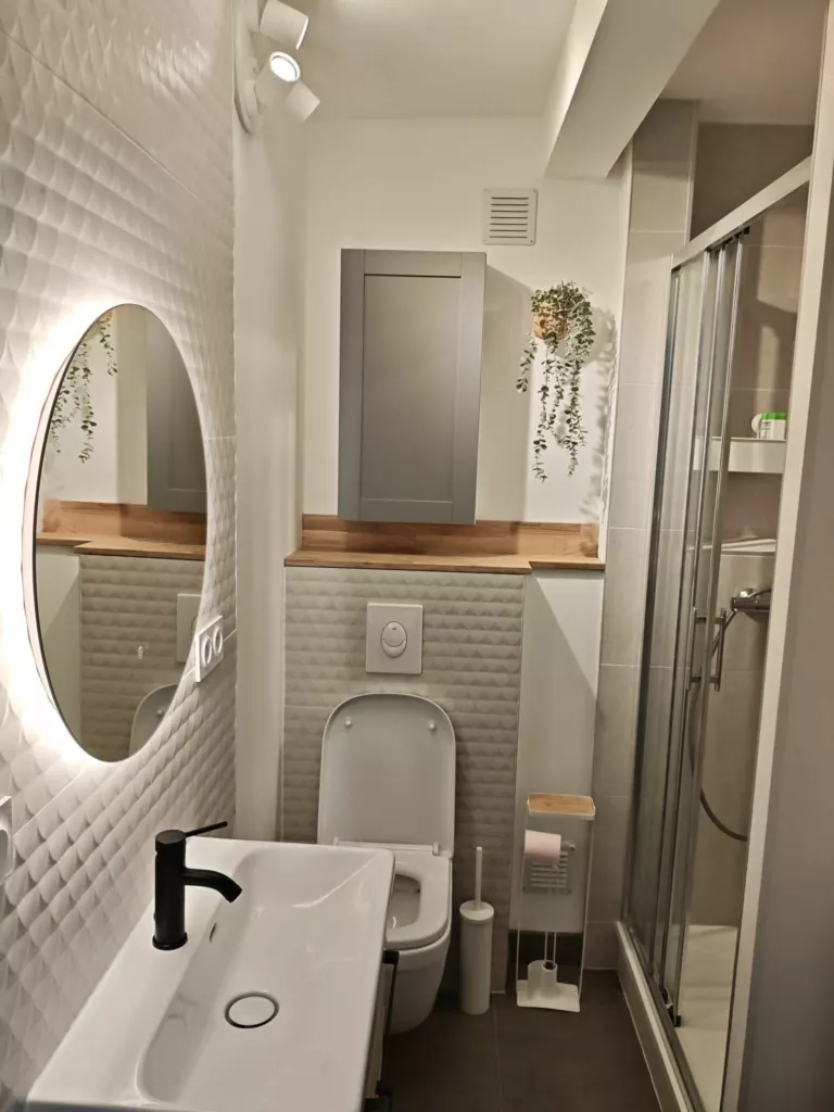 Salle de bains rénovée à Dijon : douche à paroi coulissante, WC suspendu et miroir rétroéclairé
